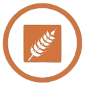 gluten