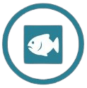 pescado